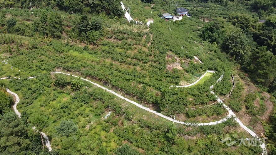 323896_1659596431973818.bmp DJI_0910.00_00_00_00.静止001.bmp