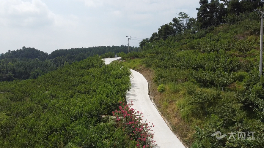 323896_1659596526480305.bmp DJI_0910.00_01_37_17.静止002.bmp