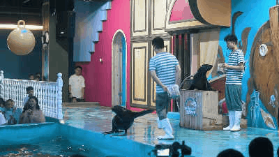 640.gif 图片