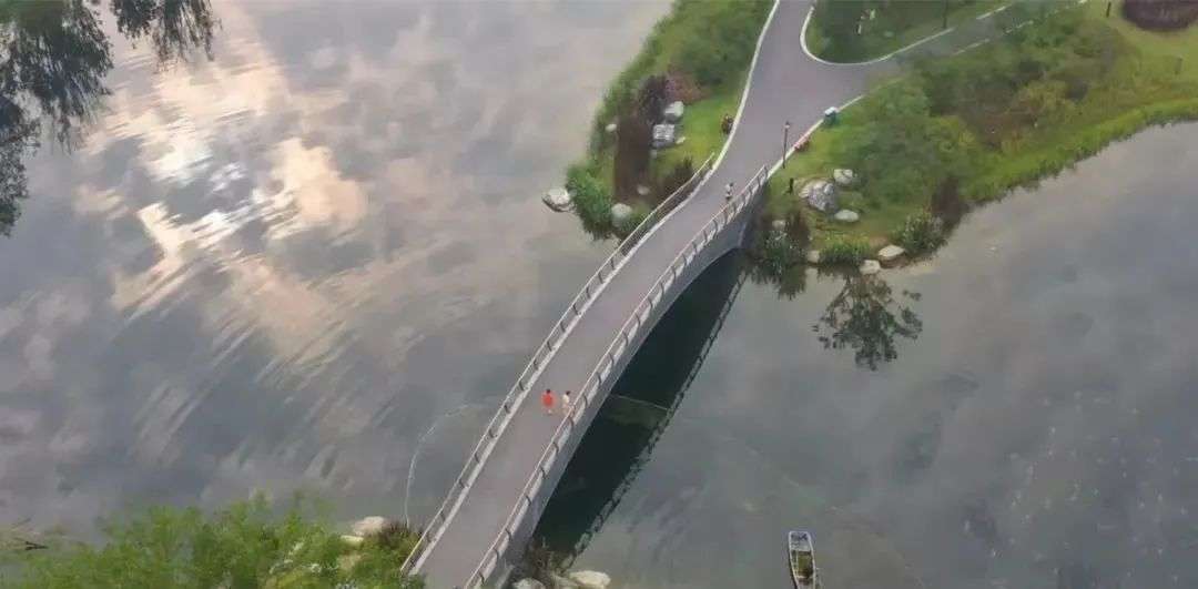 323896_1660109536106626.jpg 图片
